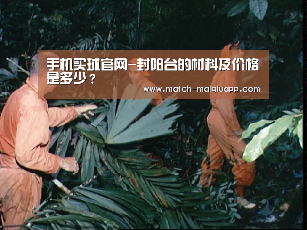 手机买球官网