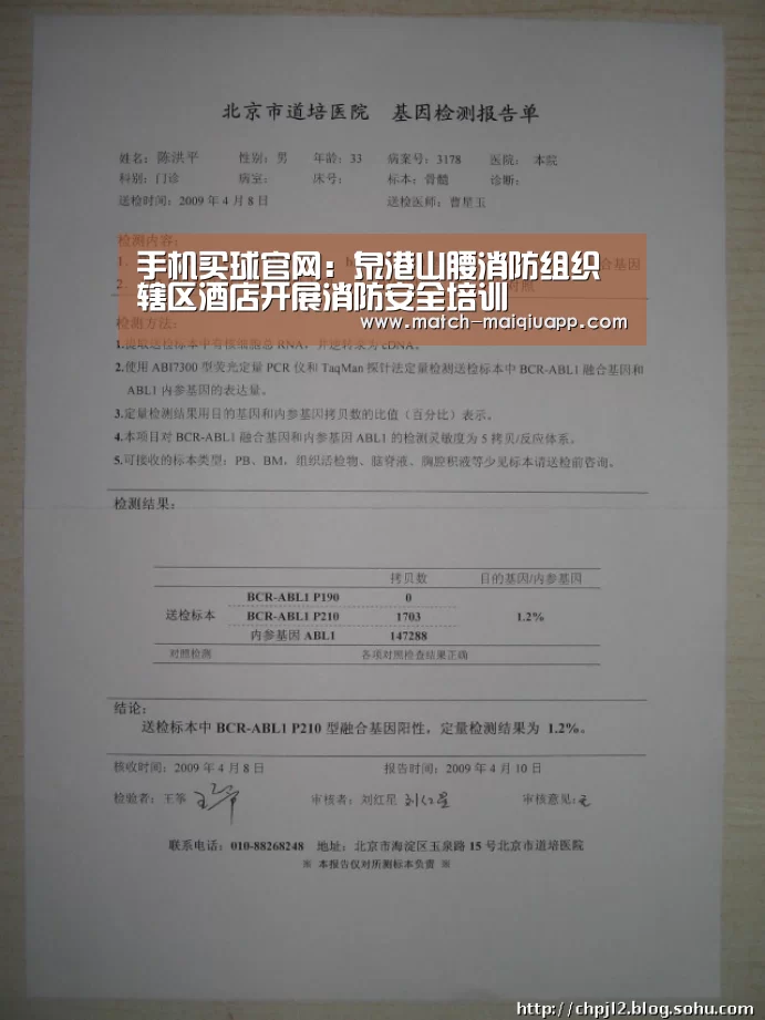 手机买球官网